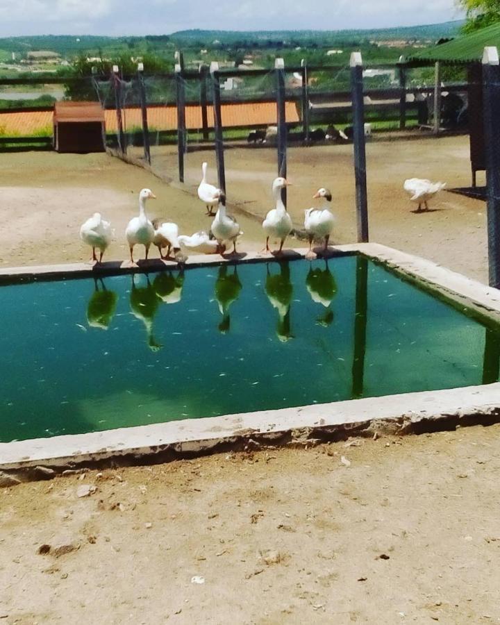 דירות גרבאטה Flat Fazenda Monte Castelo-Ao Lado Da Piscina מראה חיצוני תמונה