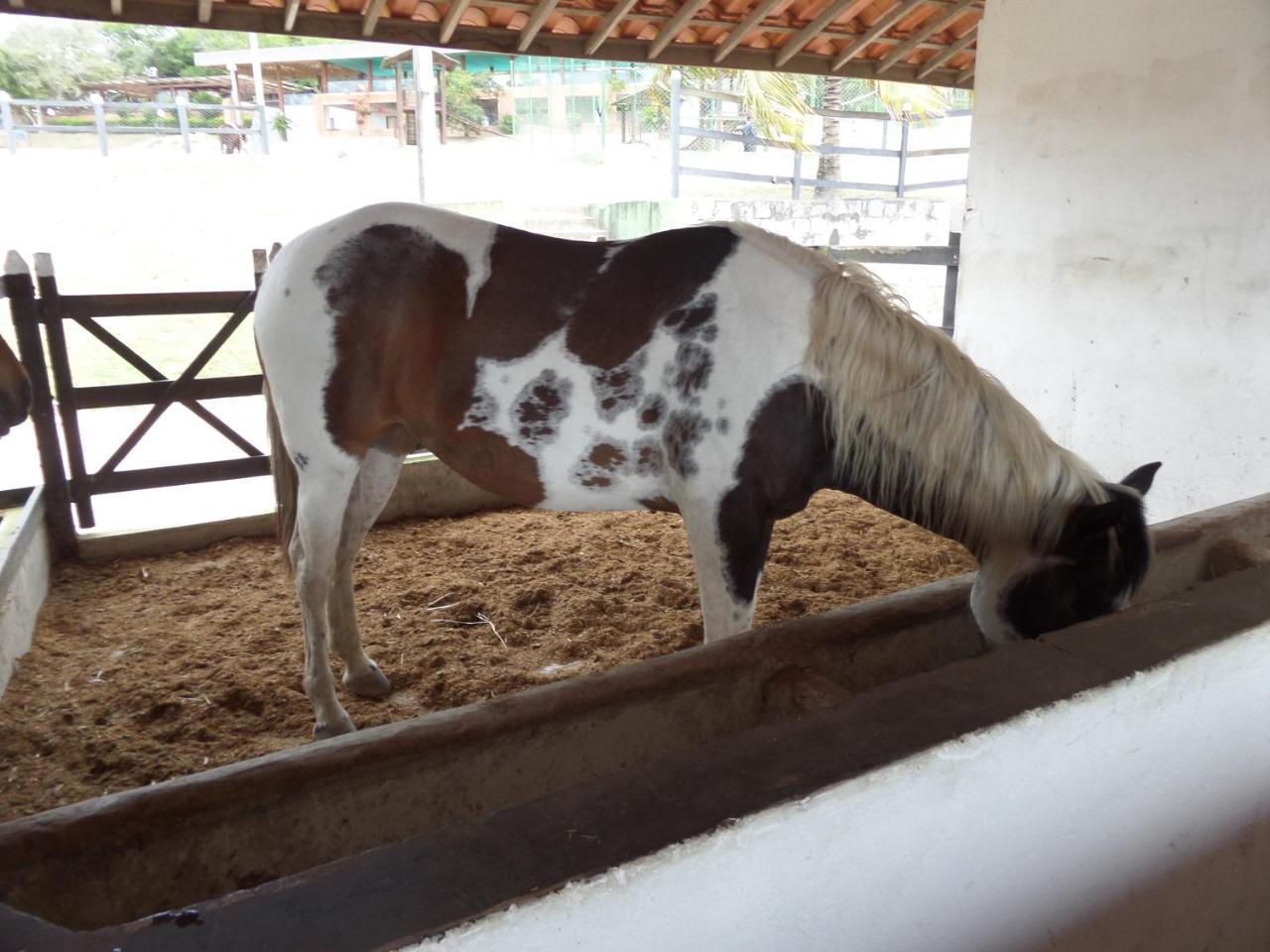 דירות גרבאטה Flat Fazenda Monte Castelo-Ao Lado Da Piscina מראה חיצוני תמונה
